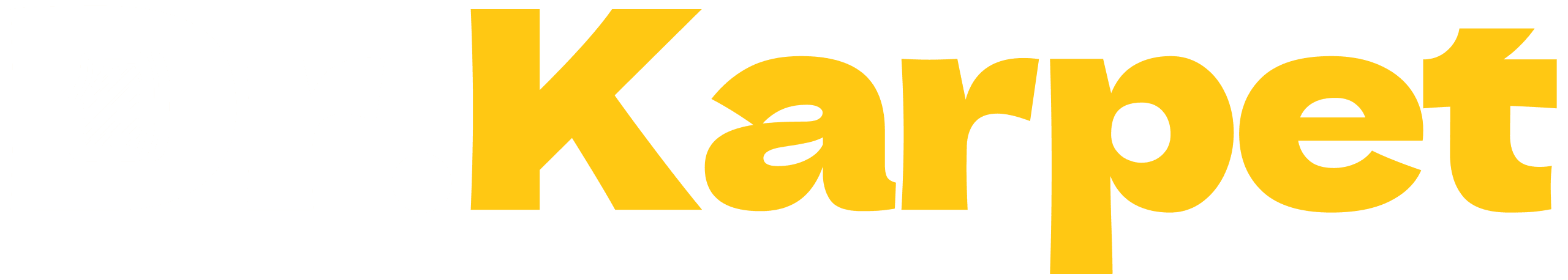 Dr Karpet